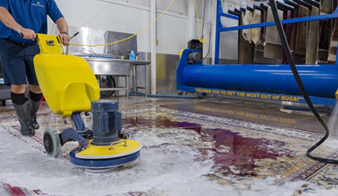 Worker cleaning rug